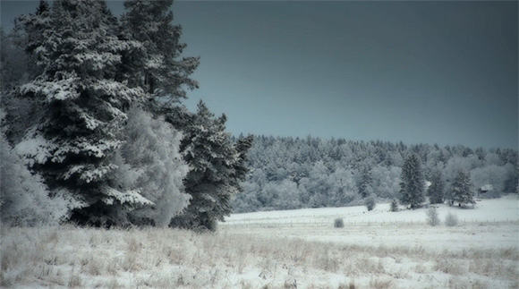 A hóba burkolózott erdő - lenyűgöző szépségű téli videó